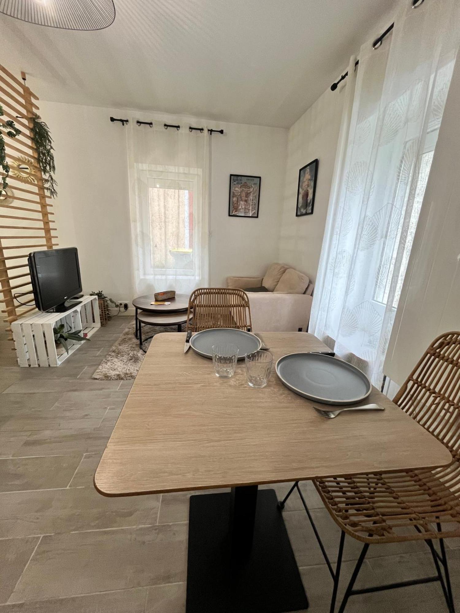 Le Globe Nantais Appartement