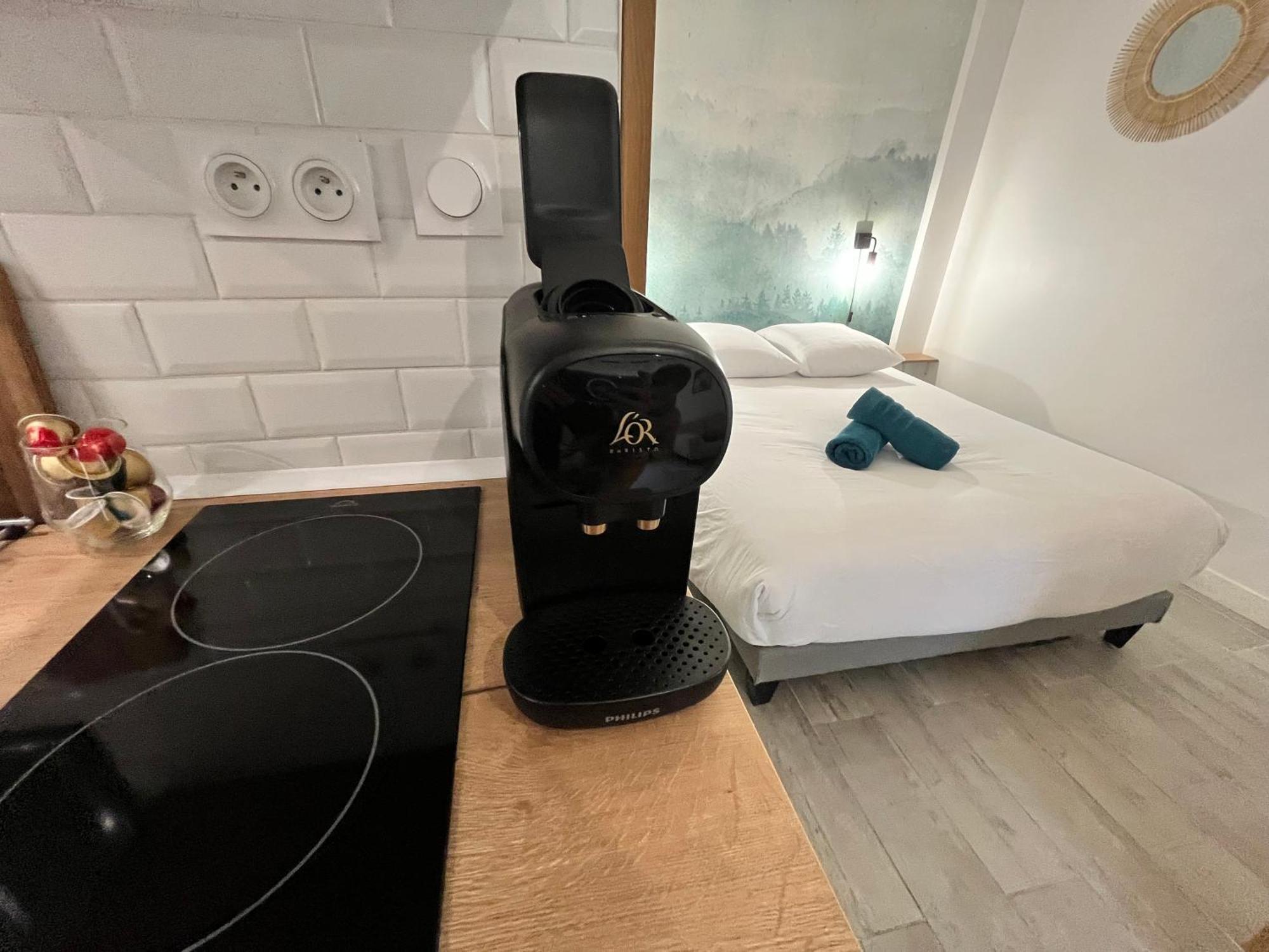Le Globe Nantais Apartamento *